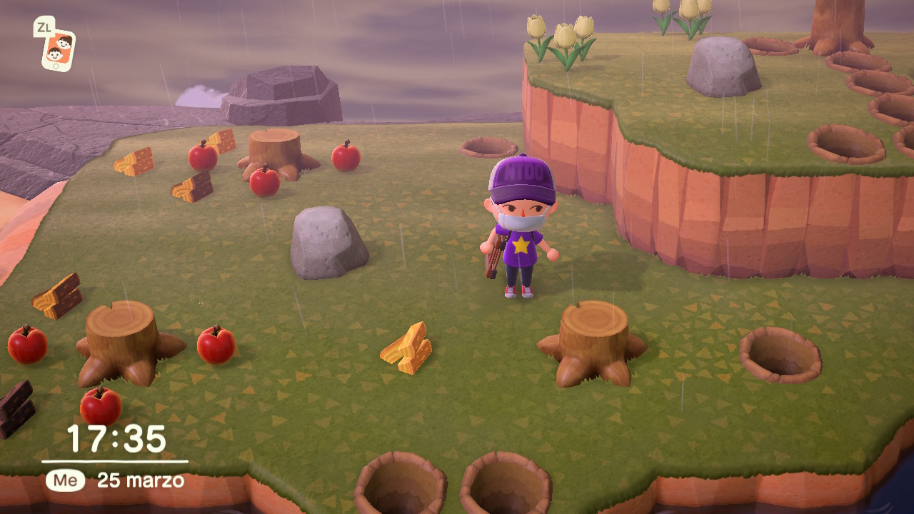 Animal Crossing New Horizons