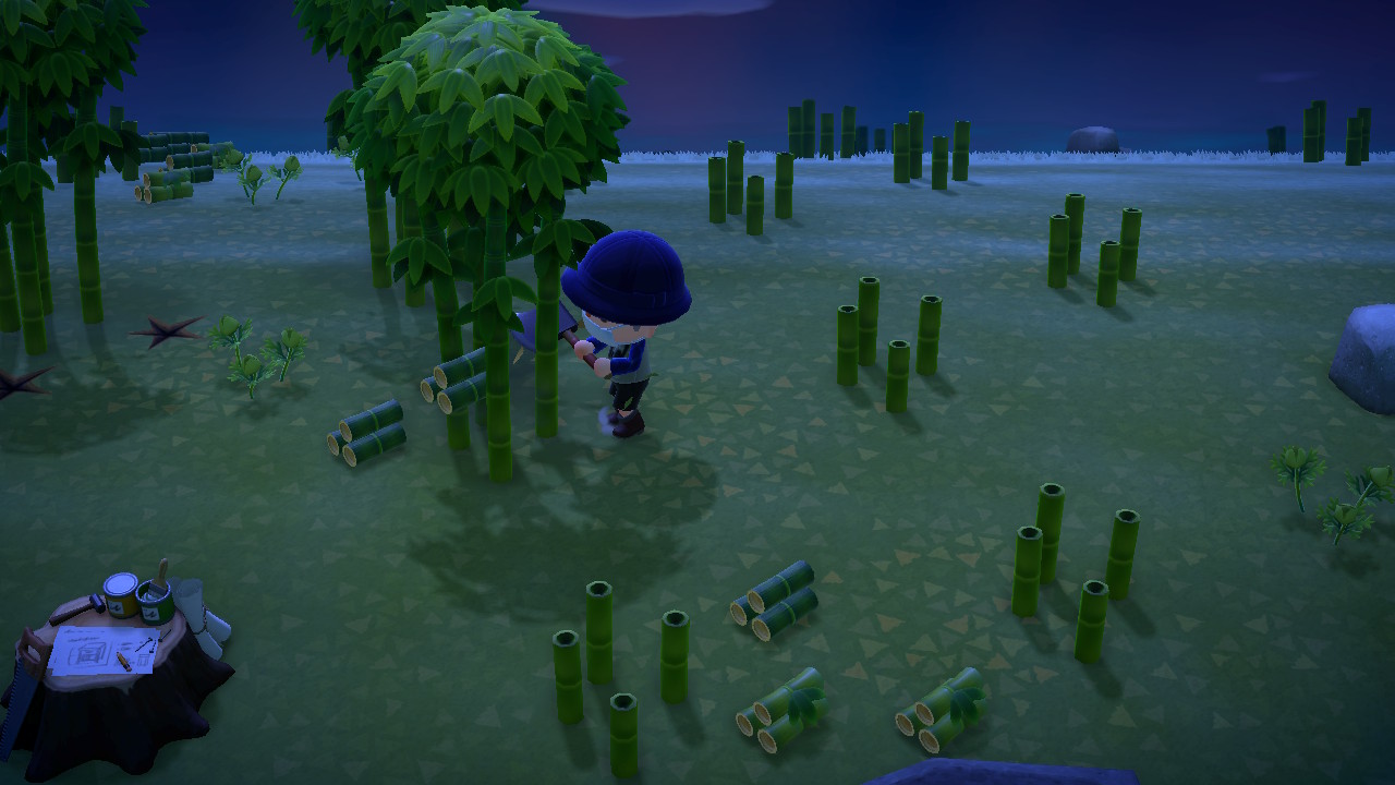 Animal Crossing New Horizons