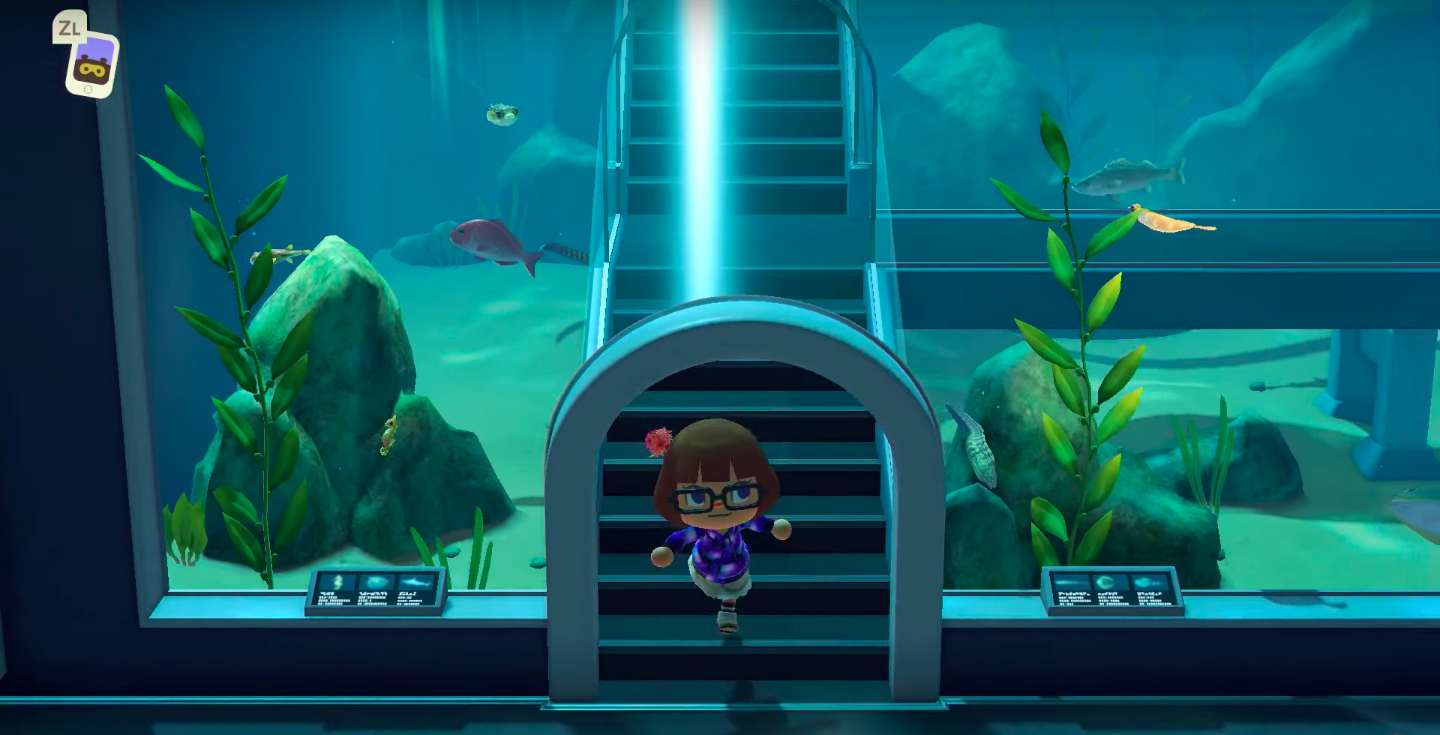 Animal Crossing New Horizons