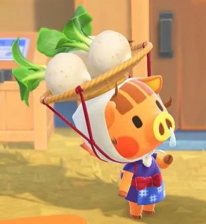 Animal Crossing New Horizons