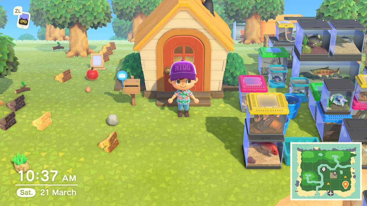 Animal Crossing New Horizons