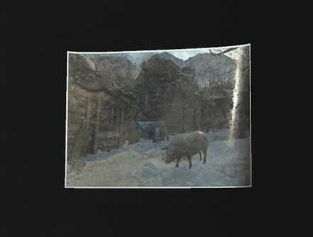 Resident Evil Village