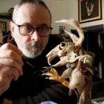 Cartoons on the Bay 2024