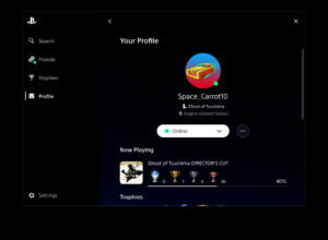 Ghost of Tsushima Director's Cut