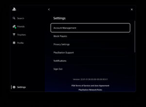 Ghost of Tsushima Director's Cut