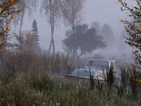 DayZ