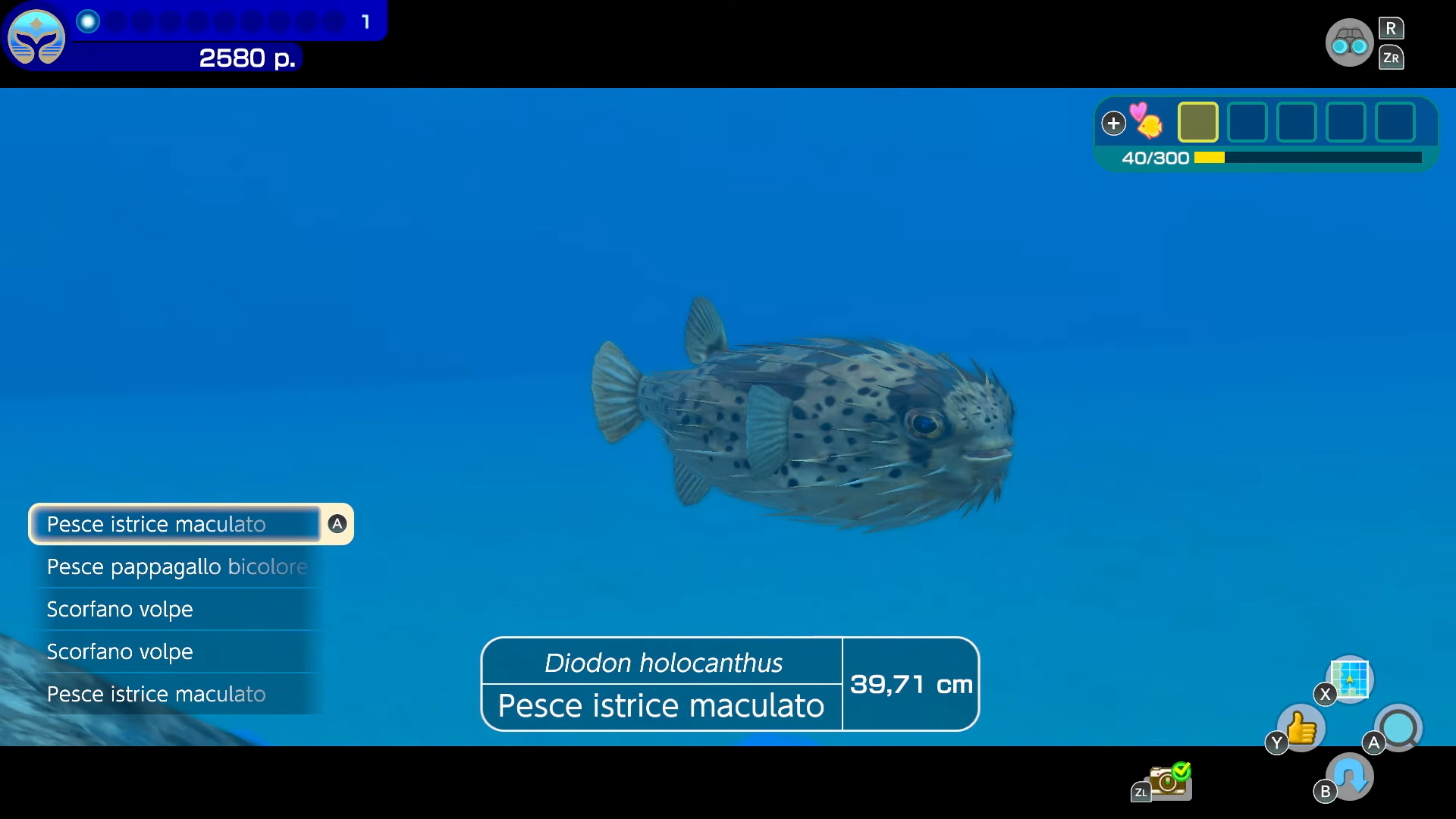 Endless Ocean Luminous