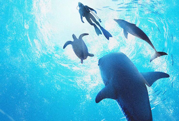 Endless Ocean Luminous