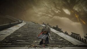 shadow of the erdtree