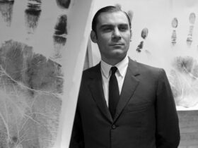 Volontรฉ - L'uomo dai mille volti