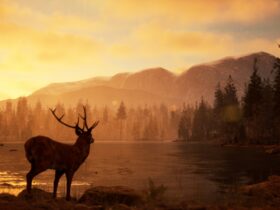 Photography Simulator