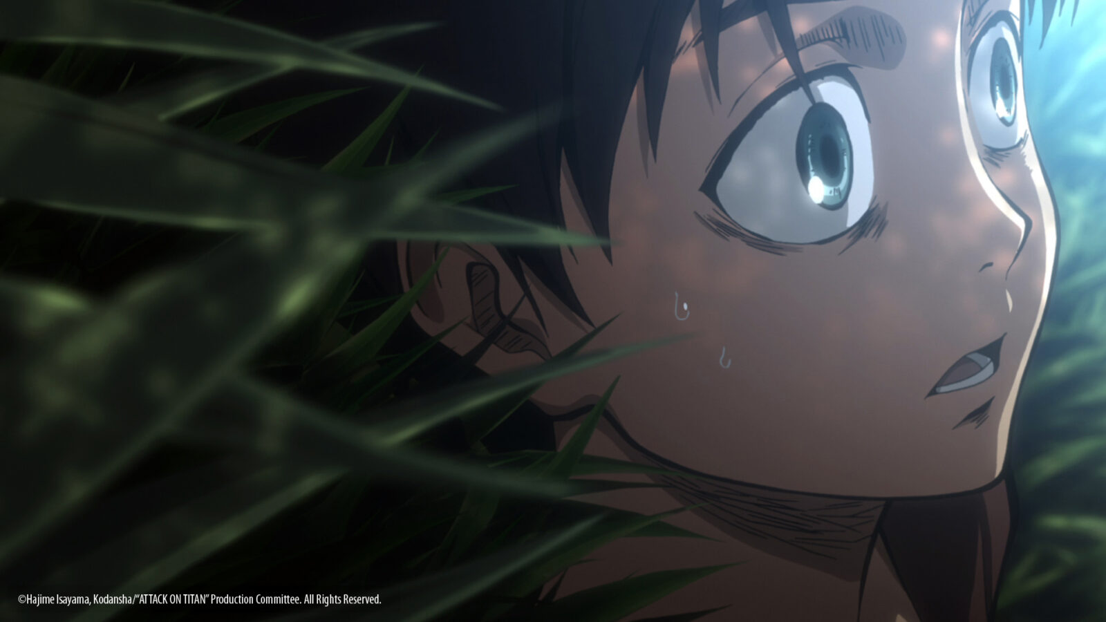 l'attacco dei giganti