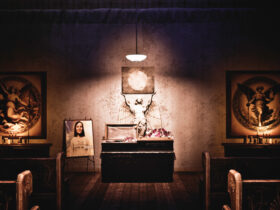 The Cecil The Journey Begins