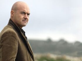 Il Commissario Montalbano