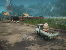 Promise Mascot Agency