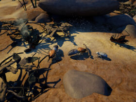 Empires of the Undergrowth