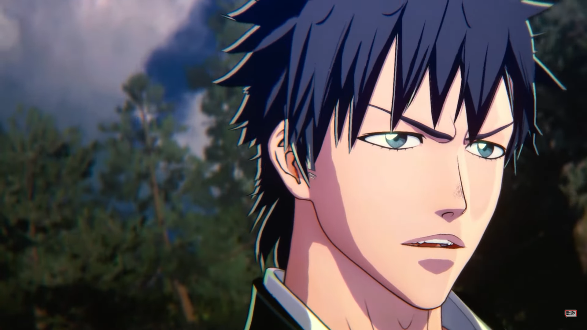 Bleach Rebirth of Souls