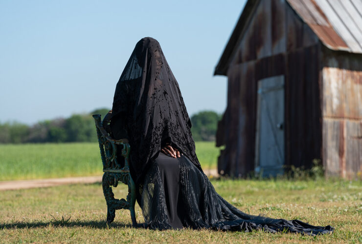 The Woman In The Yard