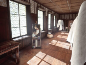 The Renovator Origins