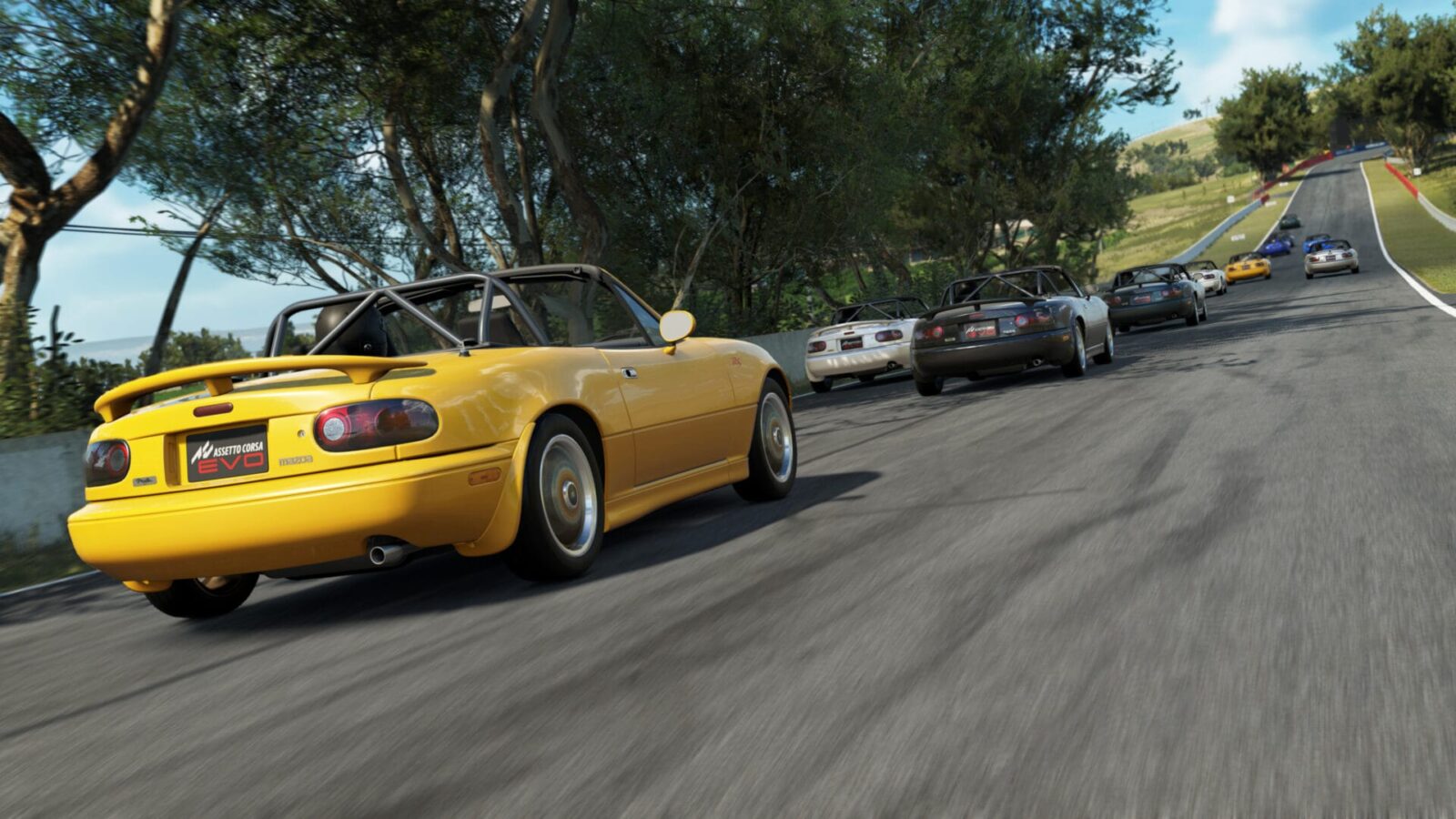 Assetto corsa evo