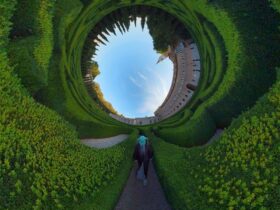 Bellaria Film Festival 2025 - REAL