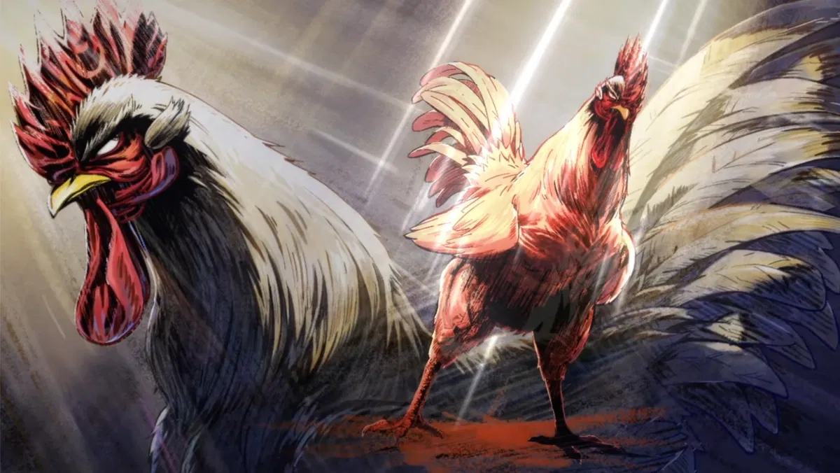 rooster fighter