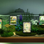 Piazza del GCC Pokémon Pocket