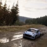 Assetto Corsa; Assetto Corsa Rally