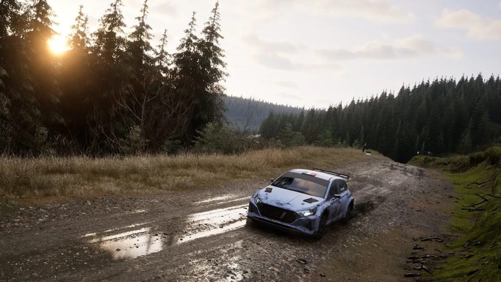 Assetto Corsa; Assetto Corsa Rally