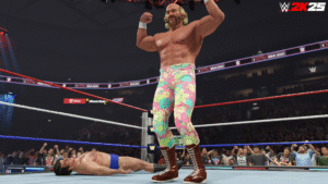 WWE 2k25