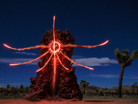 Joshua Tree - Divinity