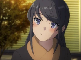 Rascal Does Not Dream