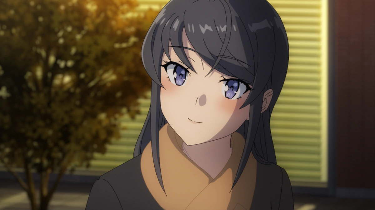 Rascal Does Not Dream