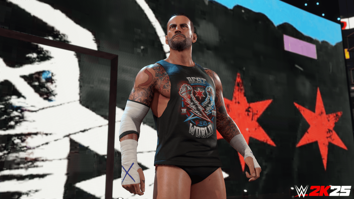 CM Punk - WWE2K