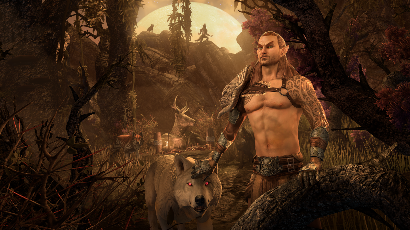 The Elder Scrolls Online Anteprima