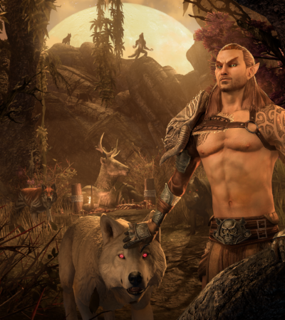 The Elder Scrolls Online Anteprima