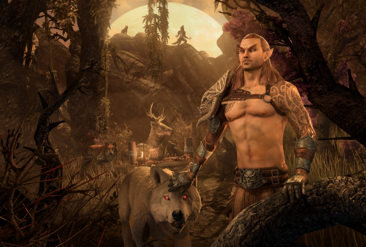 The Elder Scrolls Online Anteprima