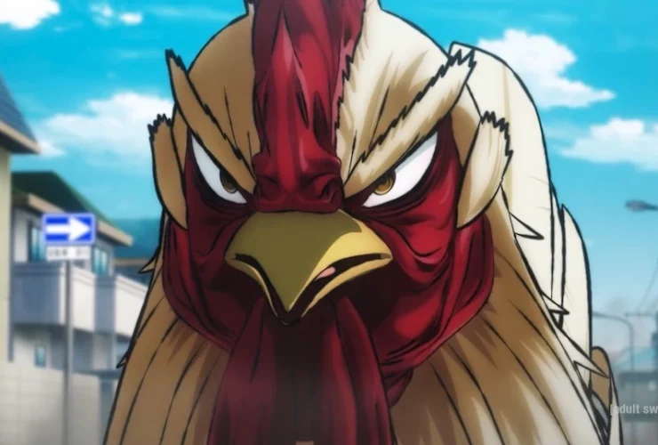 Rooster Fighter