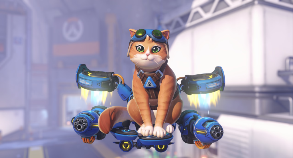 overwatch cat