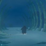 Penguin Colony