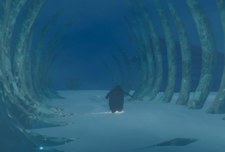 Penguin Colony