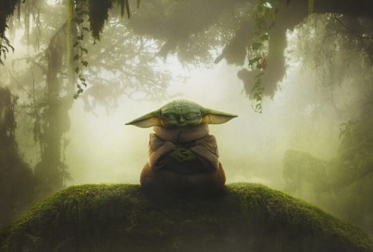 Star Wars: The Mandalorian and Grogu cop