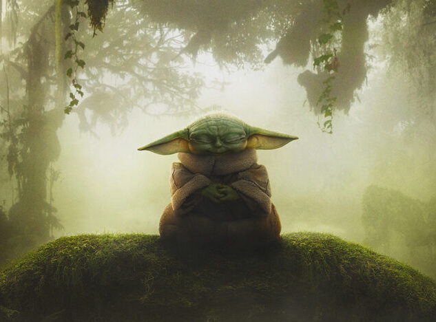 Star Wars: The Mandalorian and Grogu cop