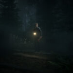 The Pines