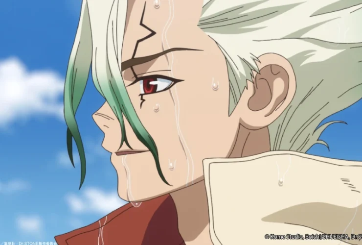 Dr. STONE