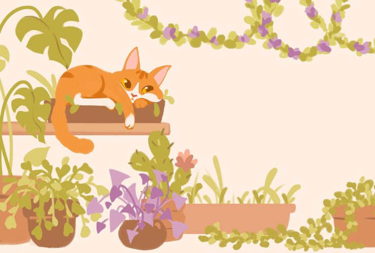 Urban Jungle