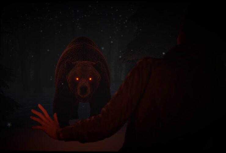 The Polar Darkness